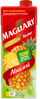 Maguary Juice Ananas 12 x 1L